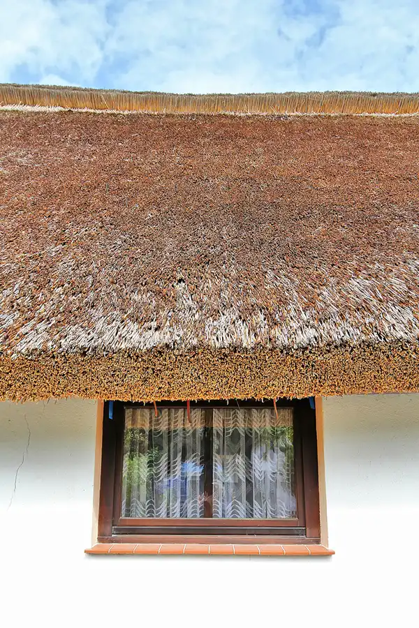 147 | 2016 | Vitt | © carsten riede fotografie