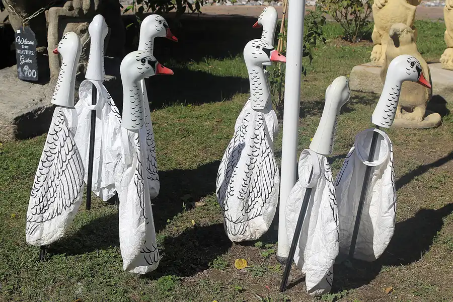 168 | 2016 | Putgarten | © carsten riede fotografie