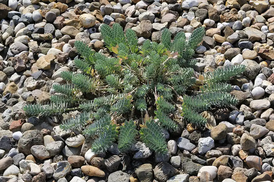 014 | 2016 | Nochten | Findlingspark | © carsten riede fotografie