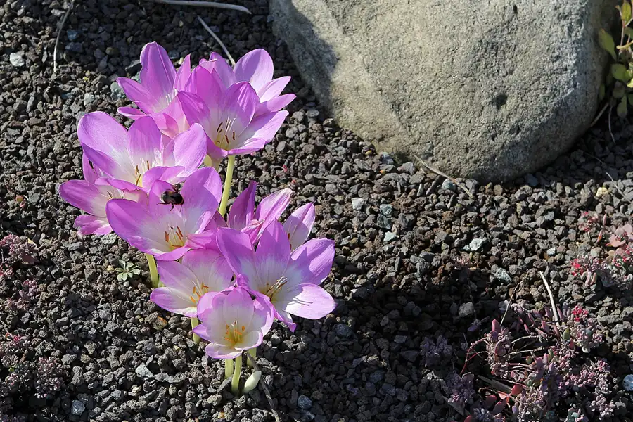 016 | 2016 | Nochten | Findlingspark | © carsten riede fotografie