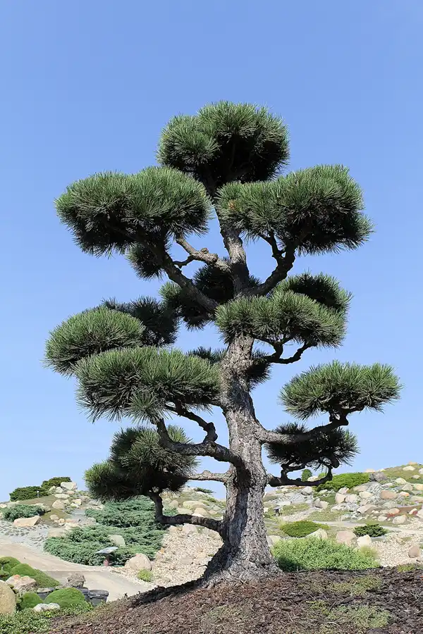 017 | 2016 | Nochten | Findlingspark | © carsten riede fotografie