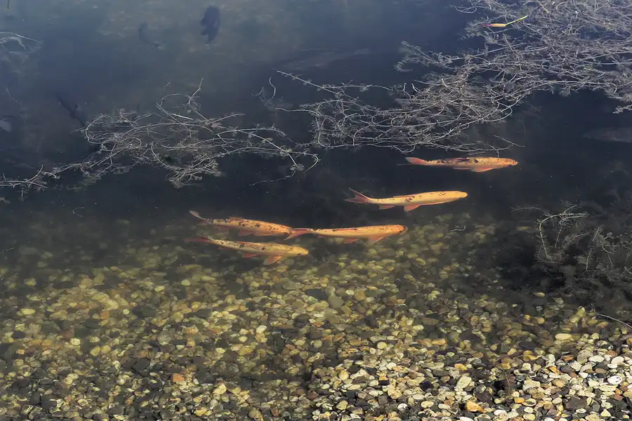 025 | 2016 | Nochten | Findlingspark | © carsten riede fotografie