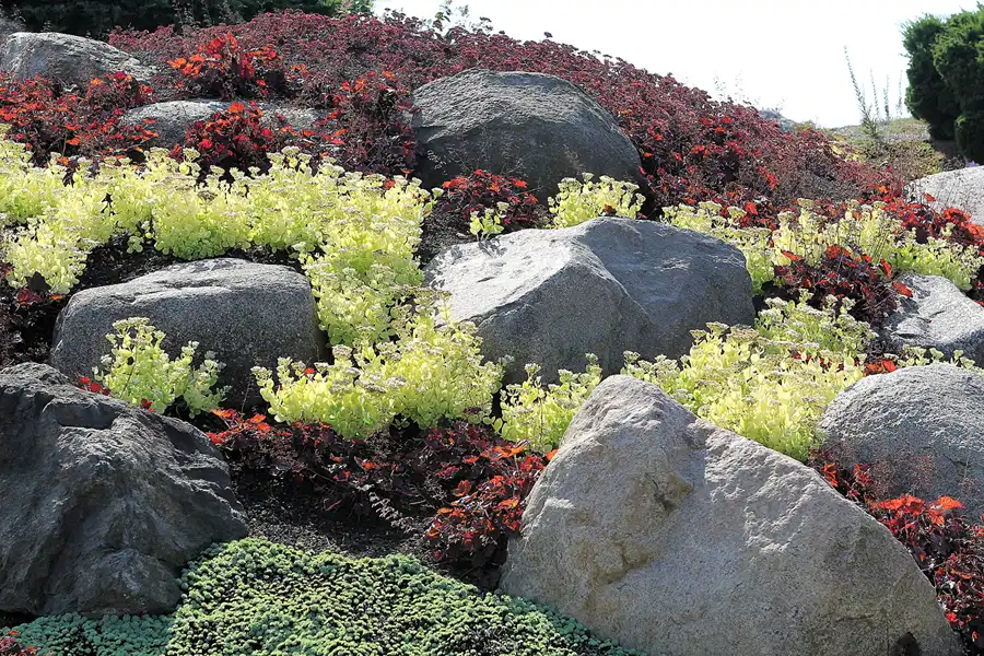 029 | 2016 | Nochten | Findlingspark | © carsten riede fotografie