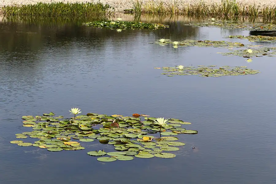 033 | 2016 | Nochten | Findlingspark | © carsten riede fotografie