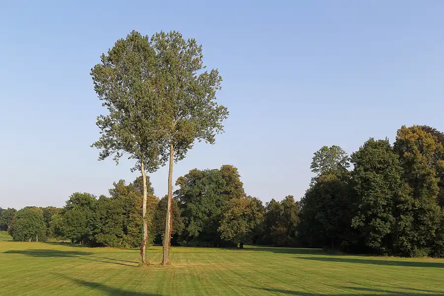 014 | 2016 | Bad Muskau | Fürst Pückler Park | © carsten riede fotografie