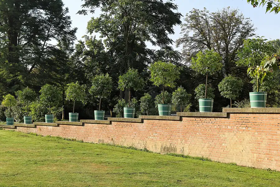 024 | 2016 | Bad Muskau | Fürst Pückler Park | © carsten riede fotografie