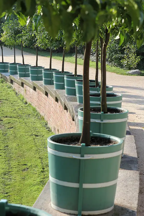 025 | 2016 | Bad Muskau | Fürst Pückler Park | © carsten riede fotografie