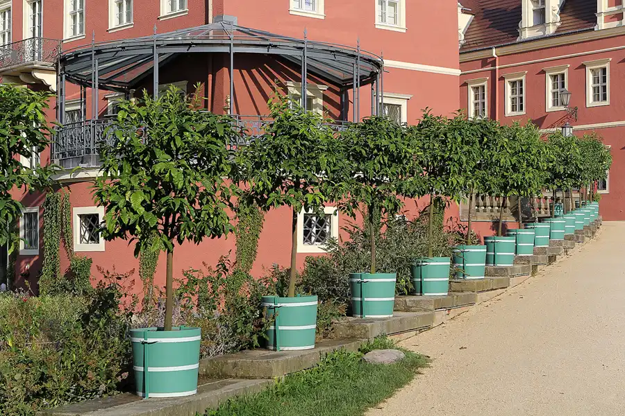 037 | 2016 | Bad Muskau | Fürst Pückler Park – Schloss Bad Muskau | © carsten riede fotografie