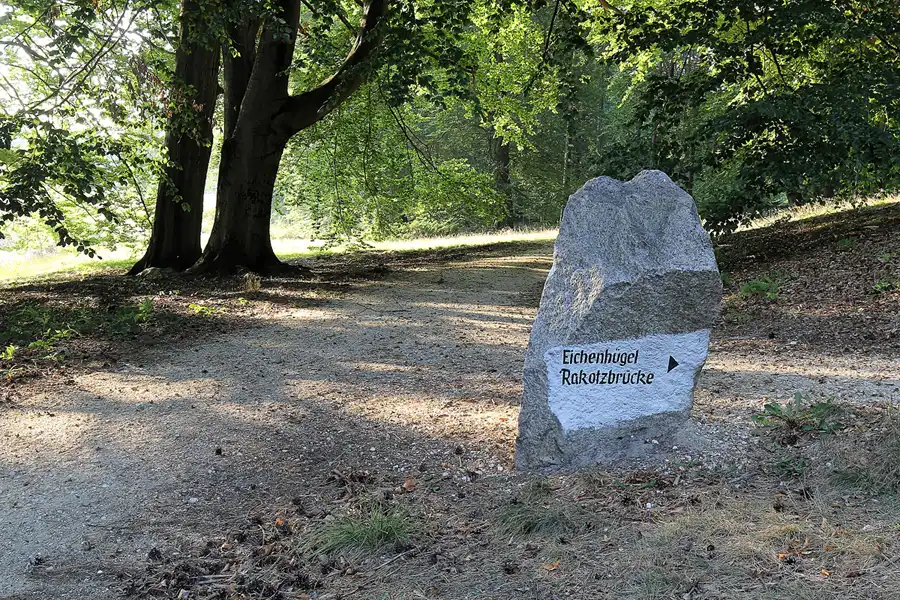 100 | 2016 | Kromlau | Rhododendronpark Kromlau | © carsten riede fotografie