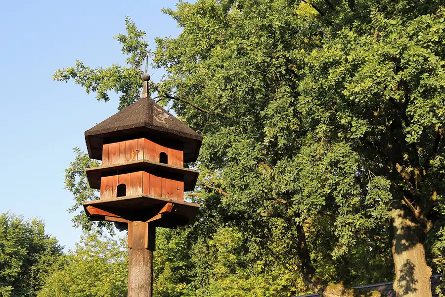 102 | 2016 | Kromlau | Rhododendronpark Kromlau | © carsten riede fotografie