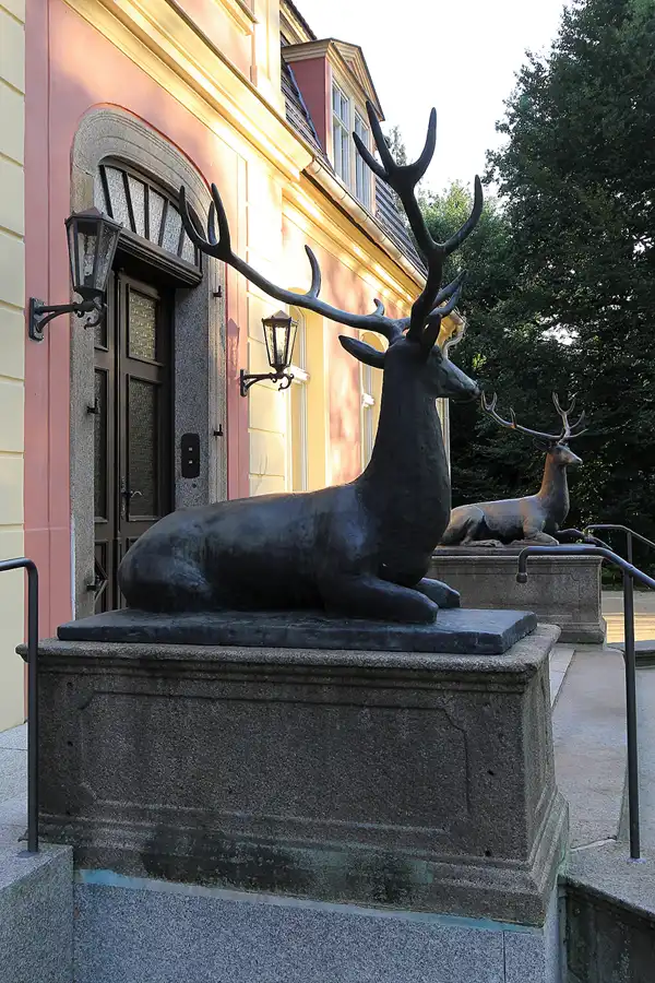 103 | 2016 | Kromlau | Rhododendronpark Kromlau | © carsten riede fotografie