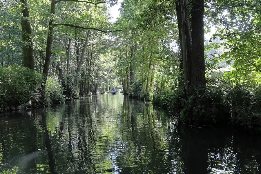 121 | 2016 | Spreewald | Kahnfahrt Lübbenau – Lehde – Lübbenau | © carsten riede fotografie
