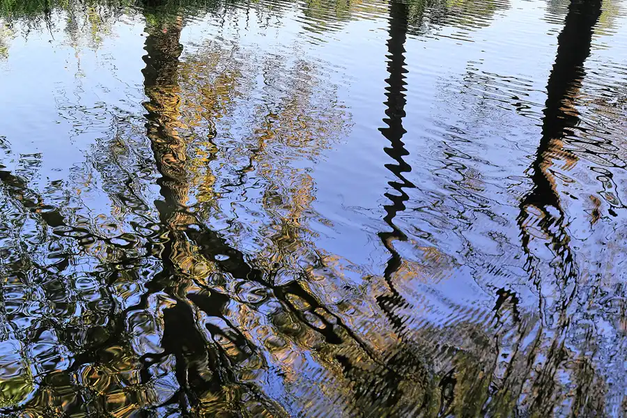 133 | 2016 | Spreewald | Kahnfahrt Lübbenau – Lehde – Lübbenau | © carsten riede fotografie