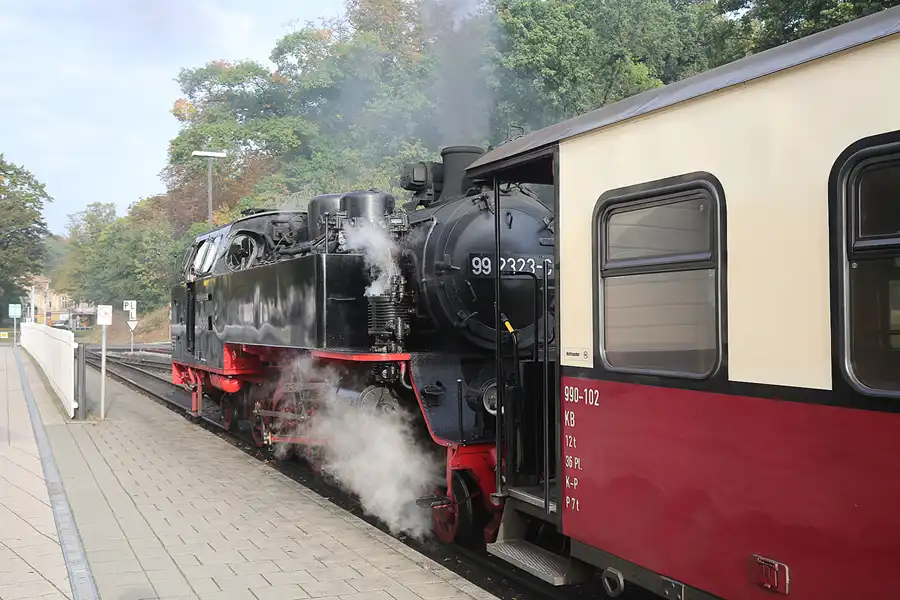 005 | 2016 | Bad Doberan | Mecklenburgische Bäderbahn Molli | © carsten riede fotografie