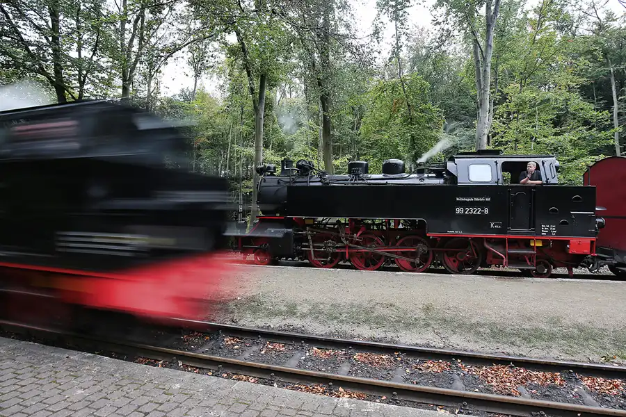 031 | 2016 | Heiligendamm | Mecklenburgische Bäderbahn Molli | © carsten riede fotografie