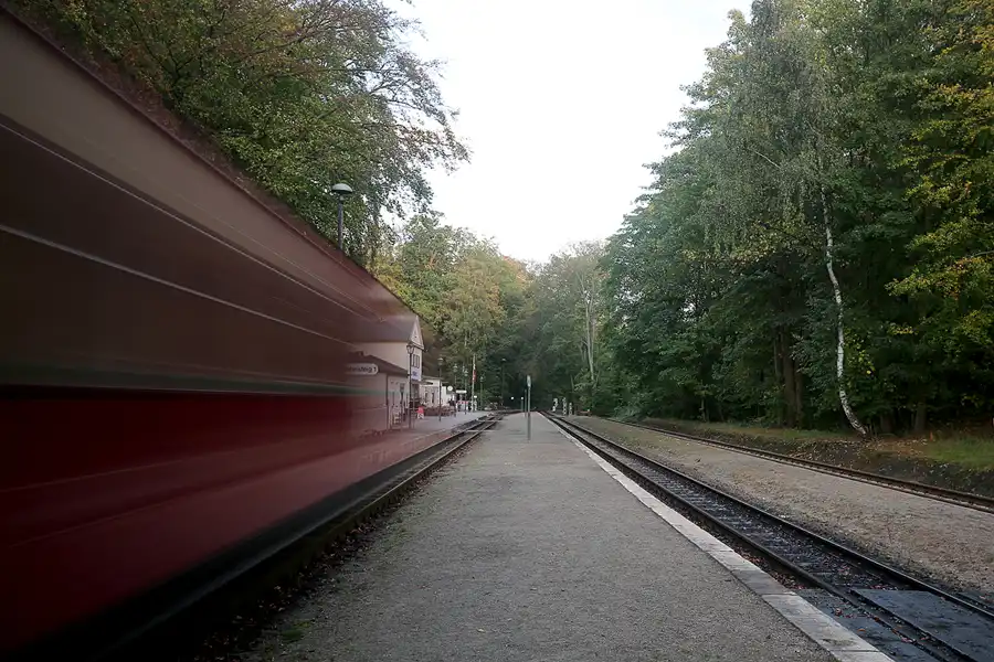 041 | 2016 | Heiligendamm | Mecklenburgische Bäderbahn Molli | © carsten riede fotografie