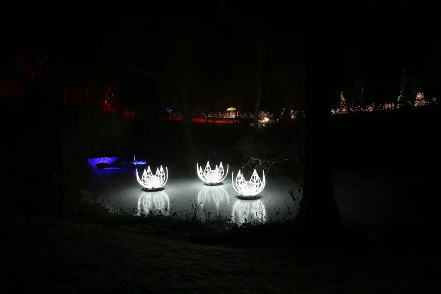 009 | 2016 | Berlin | Christmas Garden – Botanischer Garten | © carsten riede fotografie