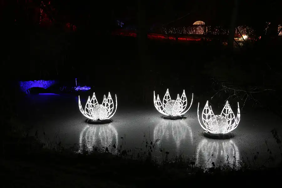 010 | 2016 | Berlin | Christmas Garden – Botanischer Garten | © carsten riede fotografie