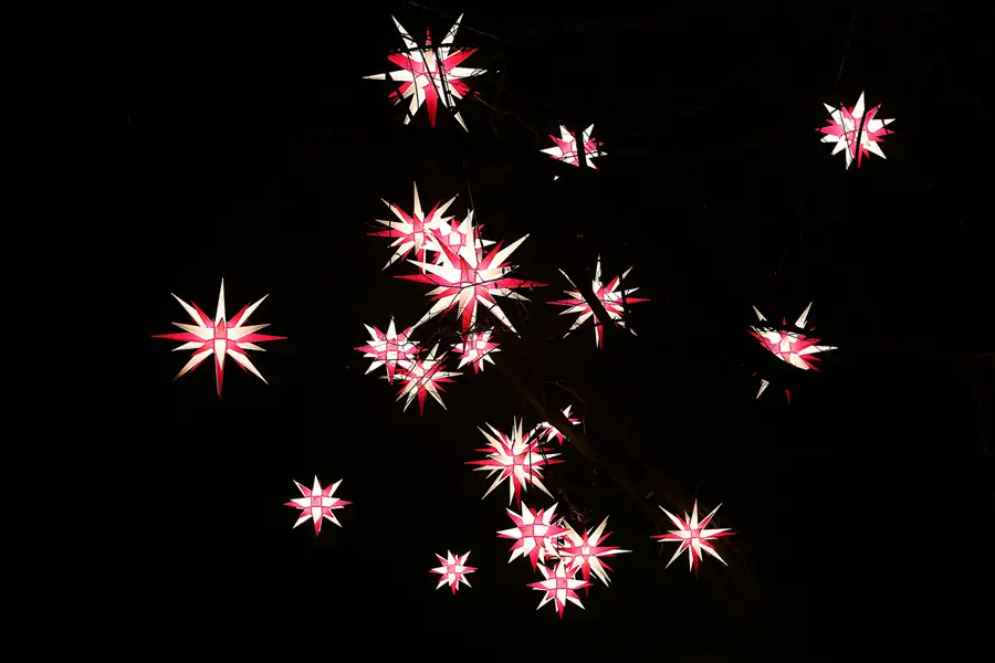 012 | 2016 | Berlin | Christmas Garden – Botanischer Garten | © carsten riede fotografie