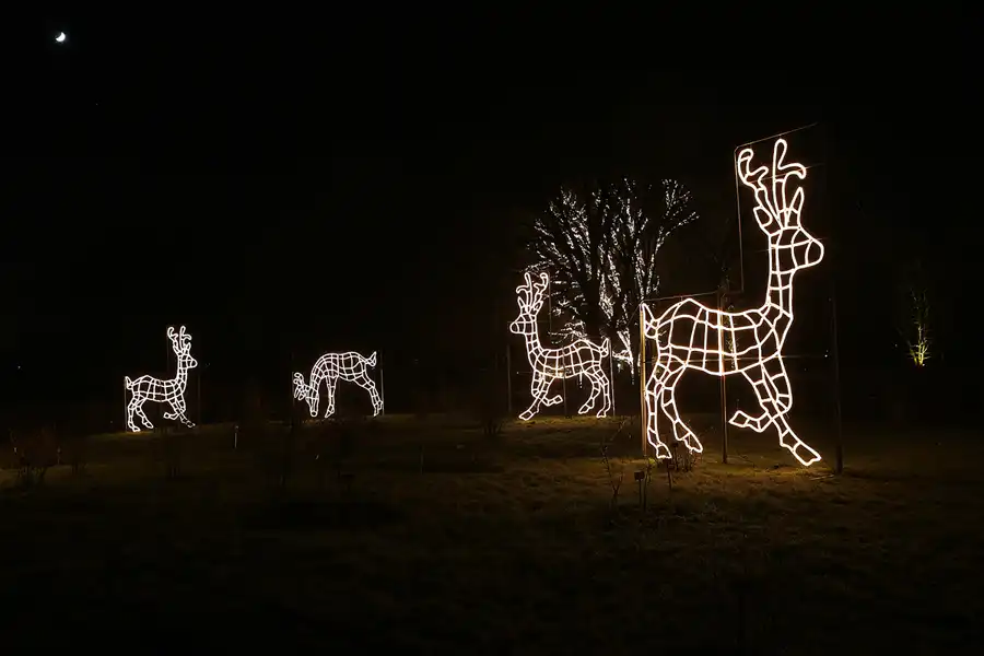 013 | 2016 | Berlin | Christmas Garden – Botanischer Garten | © carsten riede fotografie