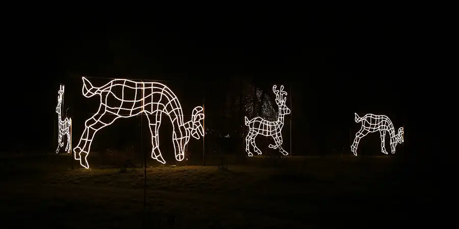 014 | 2016 | Berlin | Christmas Garden – Botanischer Garten | © carsten riede fotografie