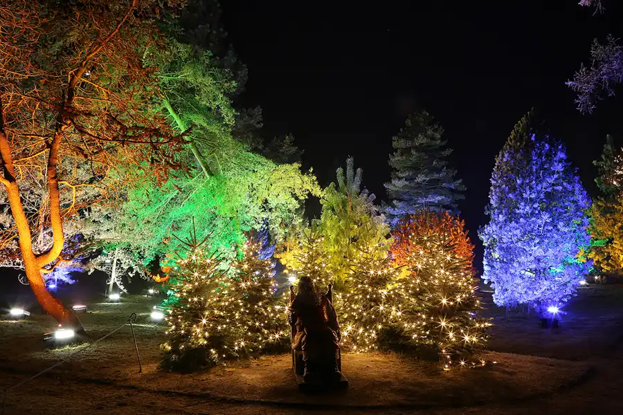 015 | 2016 | Berlin | Christmas Garden – Botanischer Garten | © carsten riede fotografie
