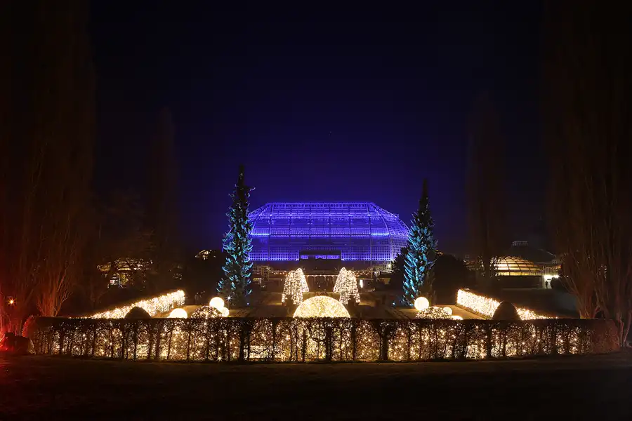 024 | 2016 | Berlin | Christmas Garden – Botanischer Garten | © carsten riede fotografie