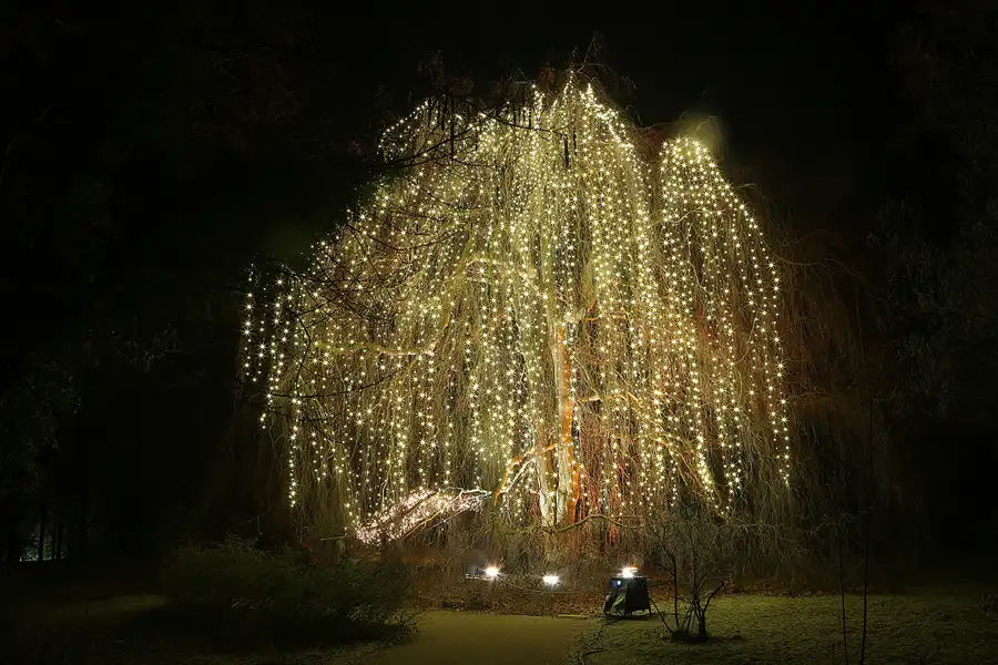 027 | 2016 | Berlin | Christmas Garden – Botanischer Garten | © carsten riede fotografie
