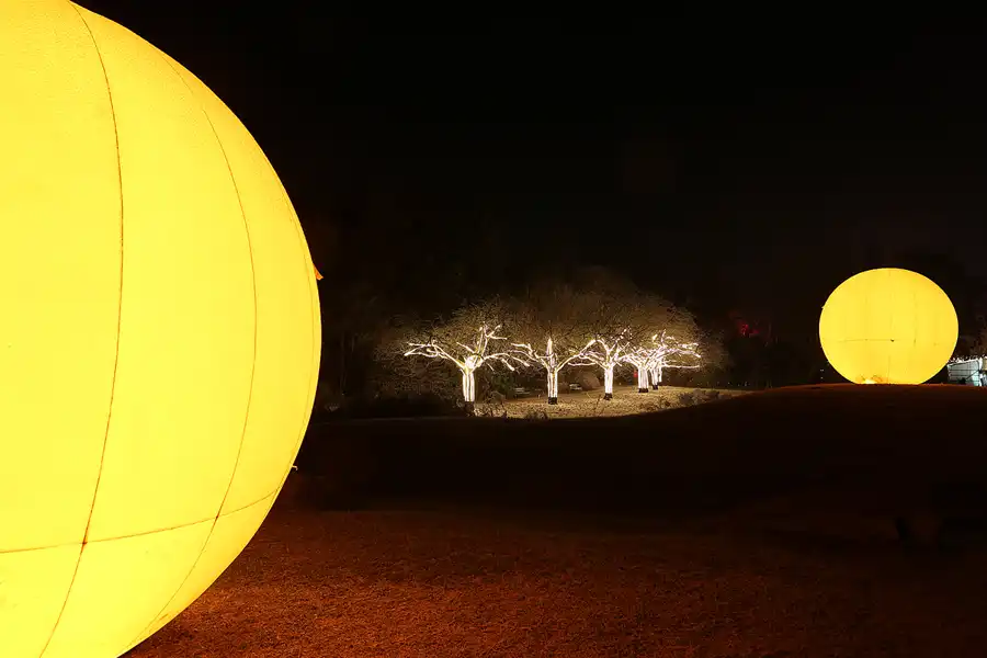 032 | 2016 | Berlin | Christmas Garden – Botanischer Garten | © carsten riede fotografie