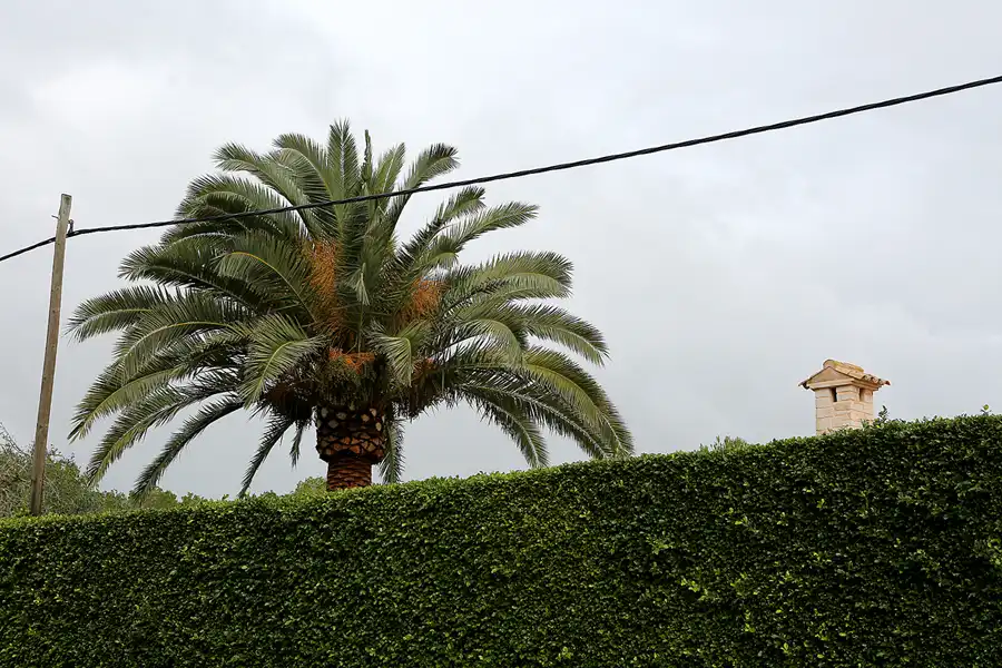 041 | 2016 | Cala Santanyi | © carsten riede fotografie