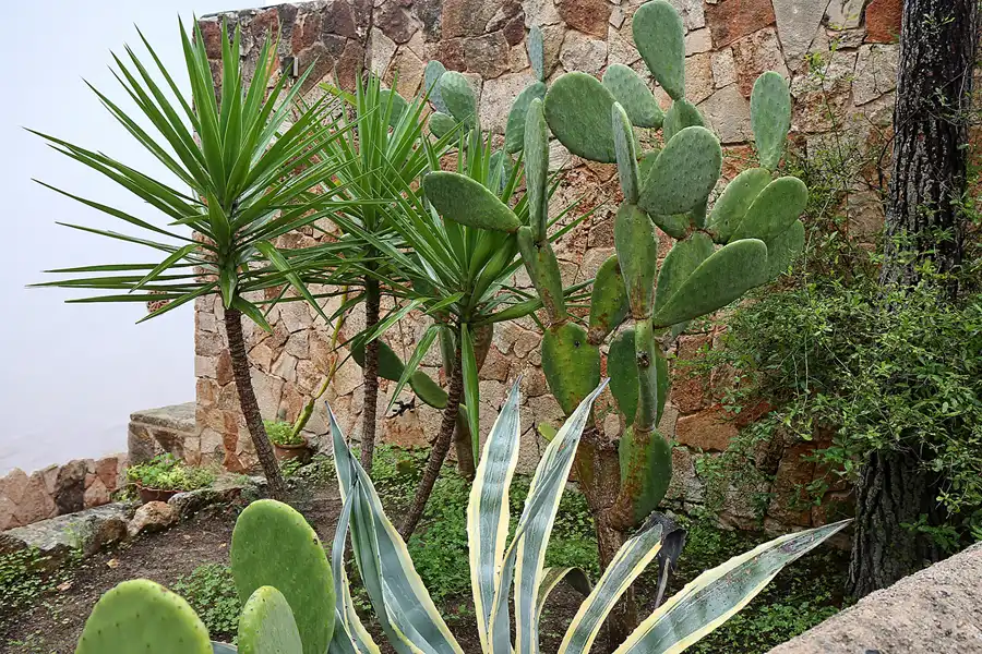 046 | 2016 | Cala Santanyi | © carsten riede fotografie