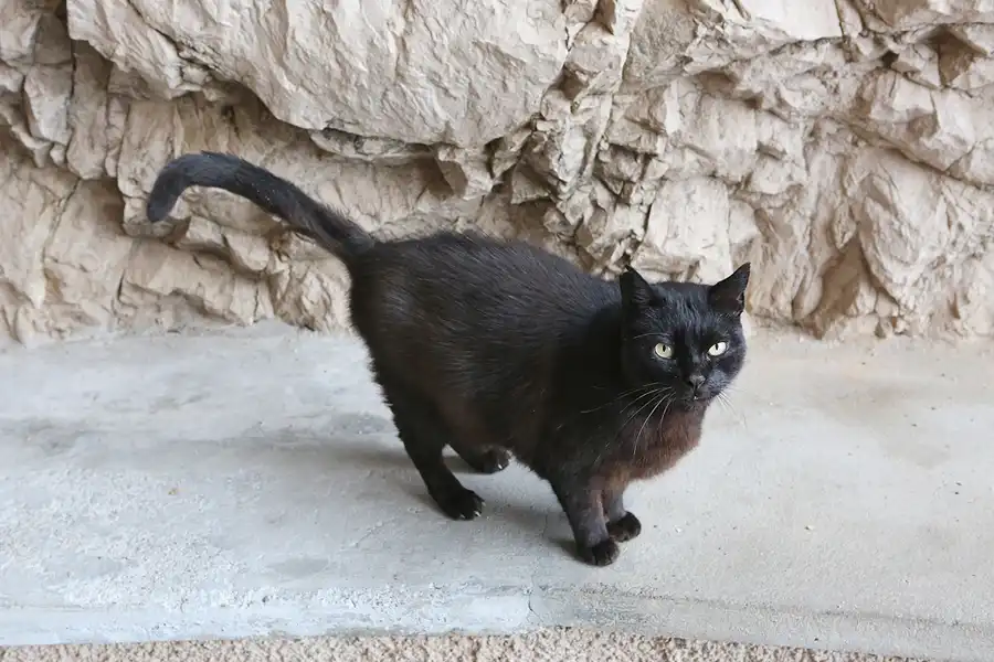 049 | 2016 | Capdepera | © carsten riede fotografie