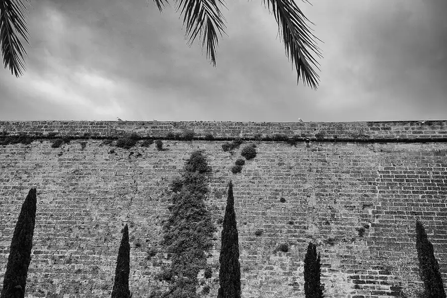 058 | 2016 | Palma De Mallorca | © carsten riede fotografie