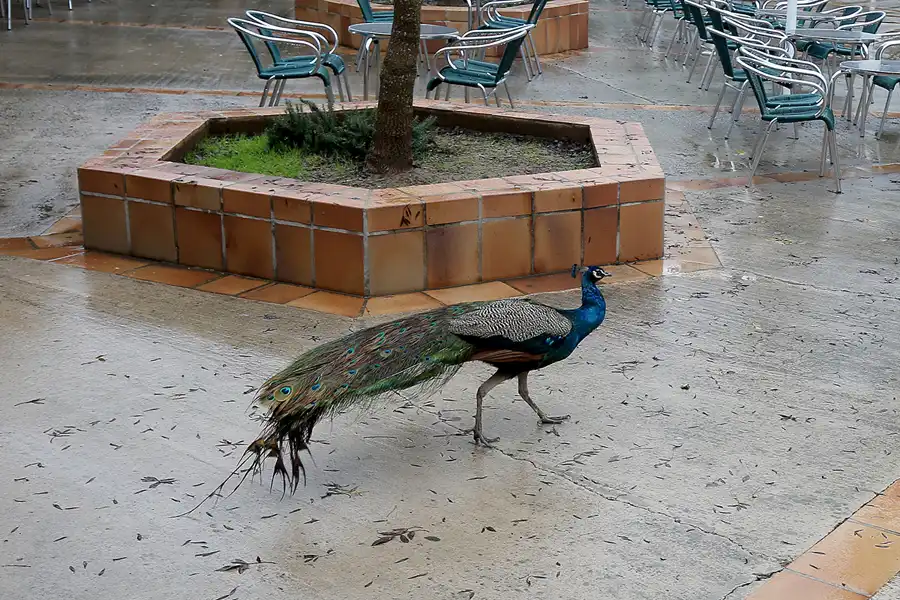 118 | 2016 | Porto Cristo | © carsten riede fotografie