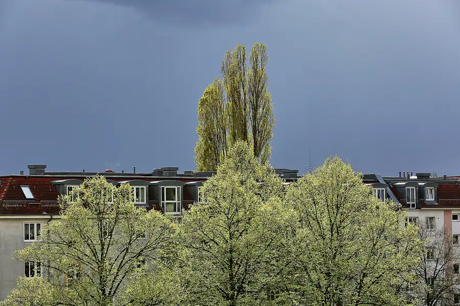 002 | 2017 | Berlin | © carsten riede fotografie