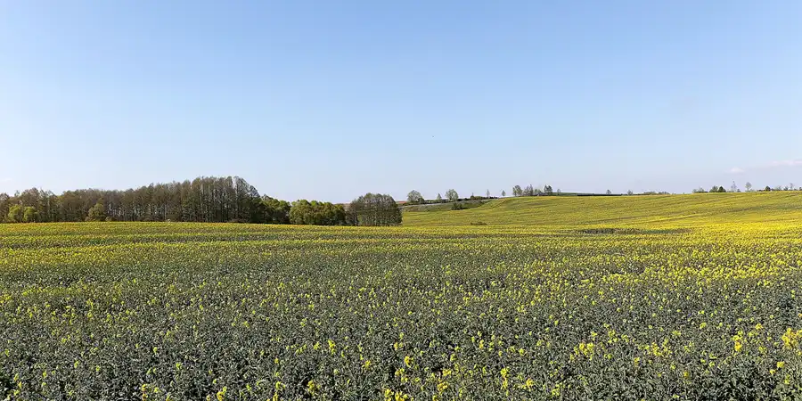 053 | 2017 | Lausitz | © carsten riede fotografie