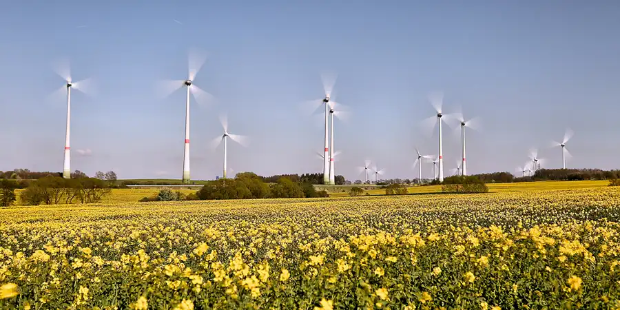 054 | 2017 | Lausitz | © carsten riede fotografie