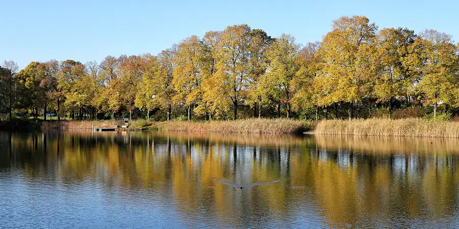 085 | 2017 | Berlin | Obersee-Orankesee-Park | © carsten riede fotografie