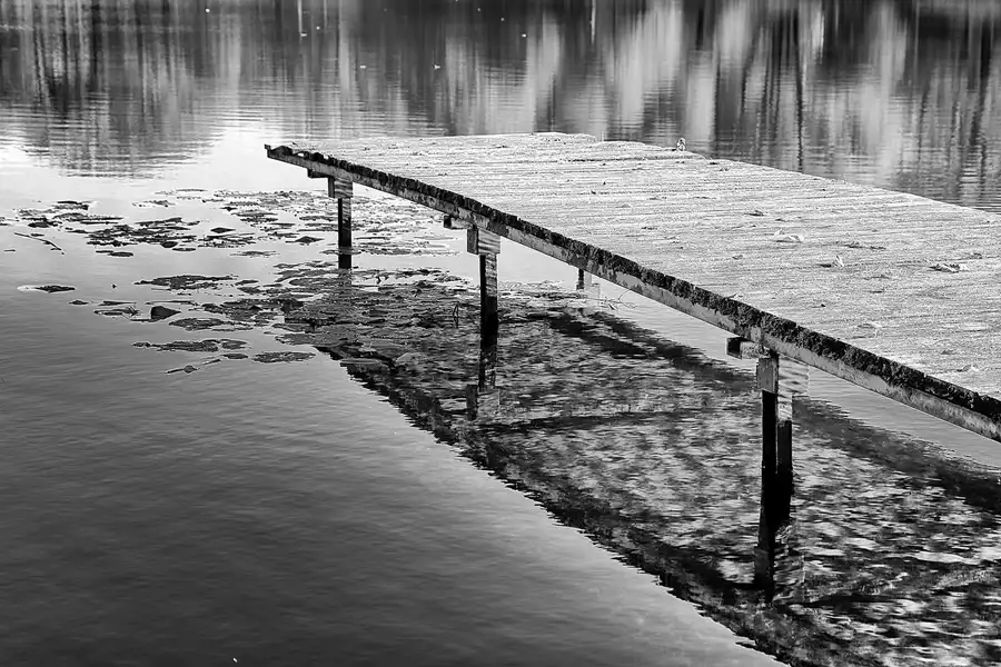 091 | 2017 | Berlin | Obersee-Orankesee-Park | © carsten riede fotografie