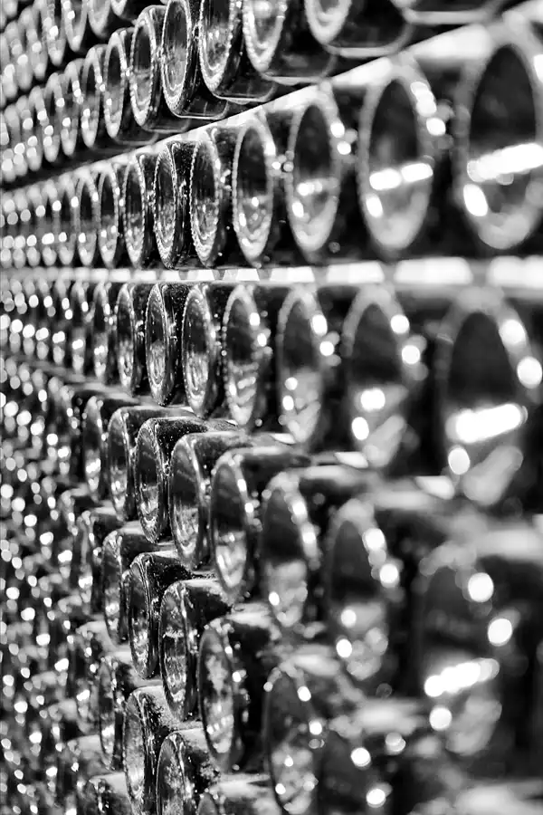 023 | 2017 | Sant Sadurní d´Anoia | Cavas Freixenet | © carsten riede fotografie