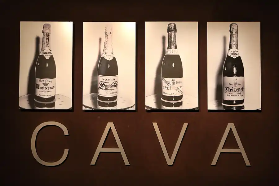 024 | 2017 | Sant Sadurní d´Anoia | Cavas Freixenet | © carsten riede fotografie