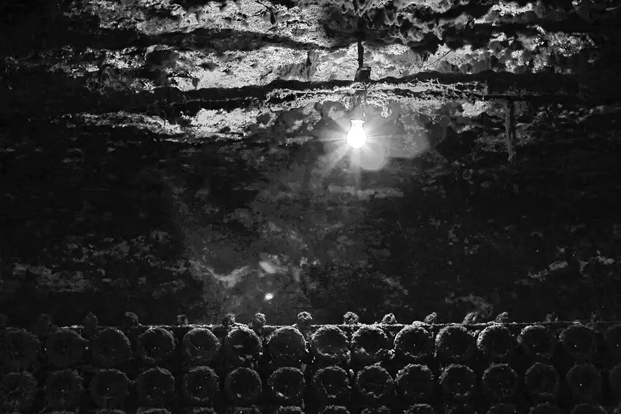 039 | 2017 | Sant Sadurní d´Anoia | Cavas Freixenet | © carsten riede fotografie
