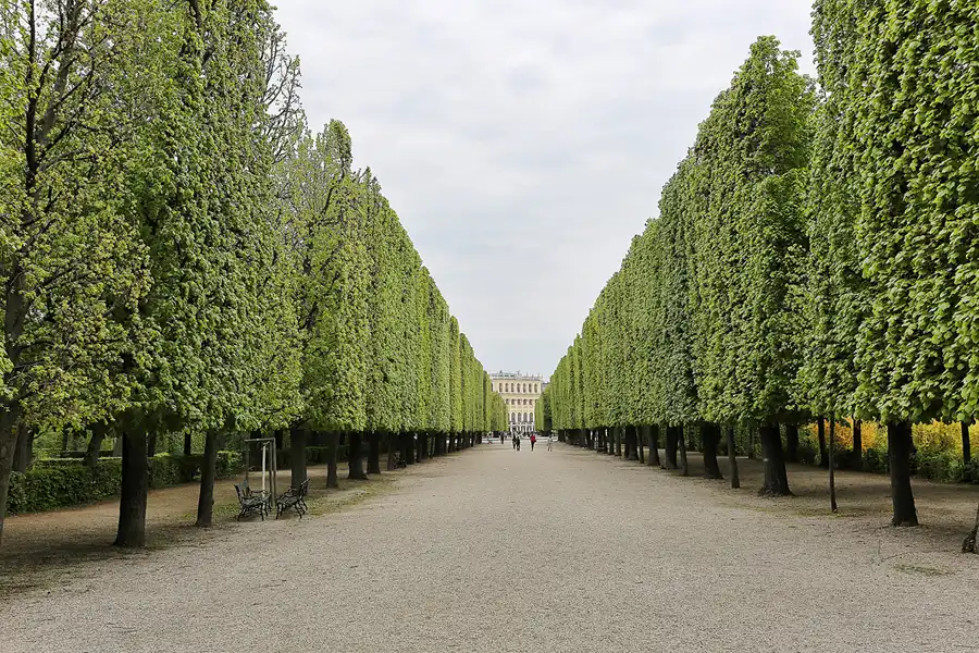 086 | 2017 | Wien | Schönbrunner Schlosspark | © carsten riede fotografie