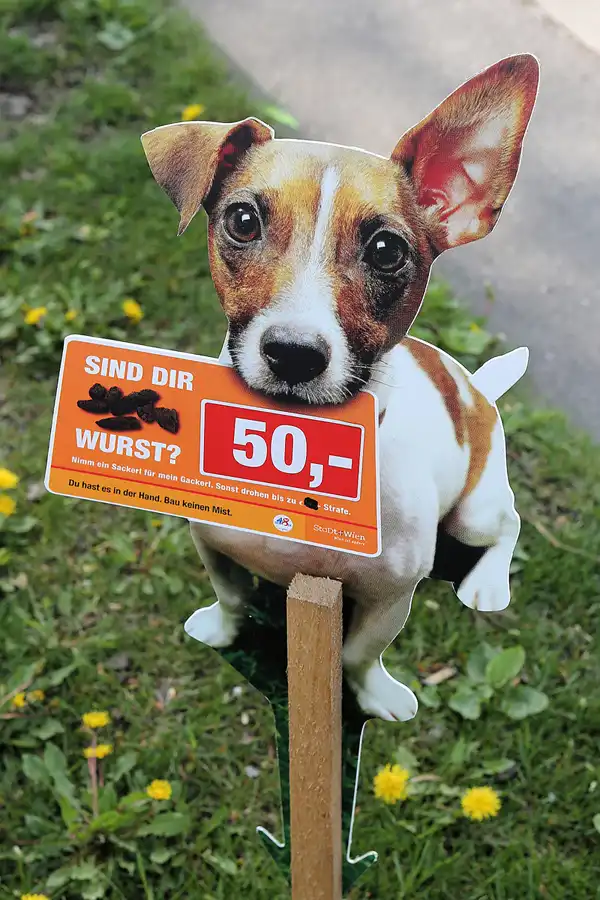 163 | 2017 | Wien | © carsten riede fotografie