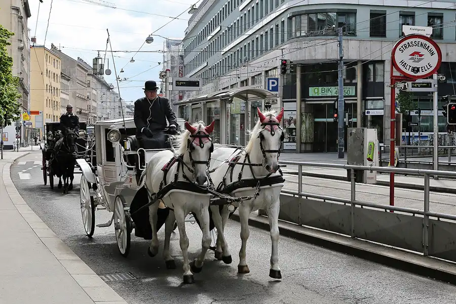 190 | 2017 | Wien | © carsten riede fotografie