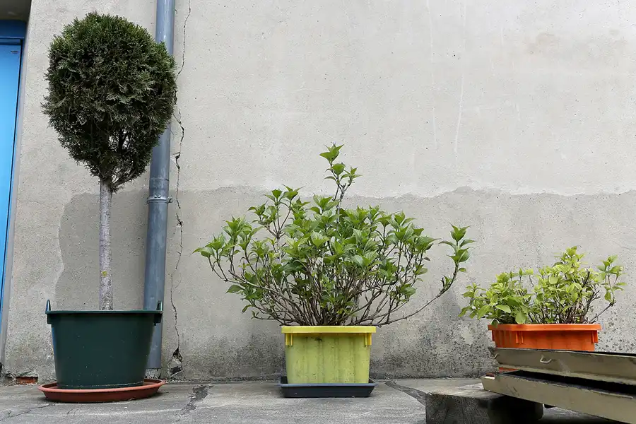 050 | 2017 | Benneckenstein | Ostdeutsches Fahrzeugmuseum | © carsten riede fotografie