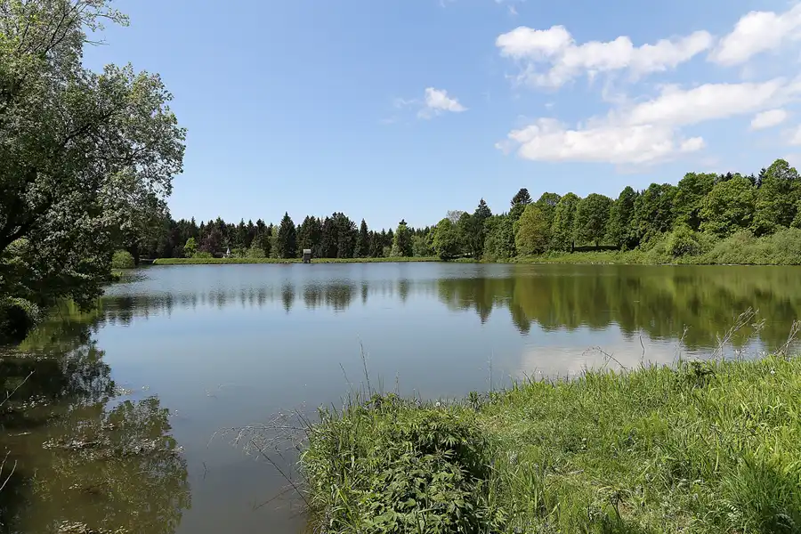 037 | 2017 | Hahnenklee | © carsten riede fotografie