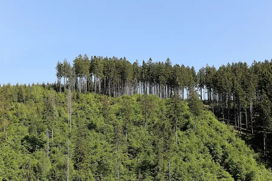 044 | 2017 | Harz | © carsten riede fotografie