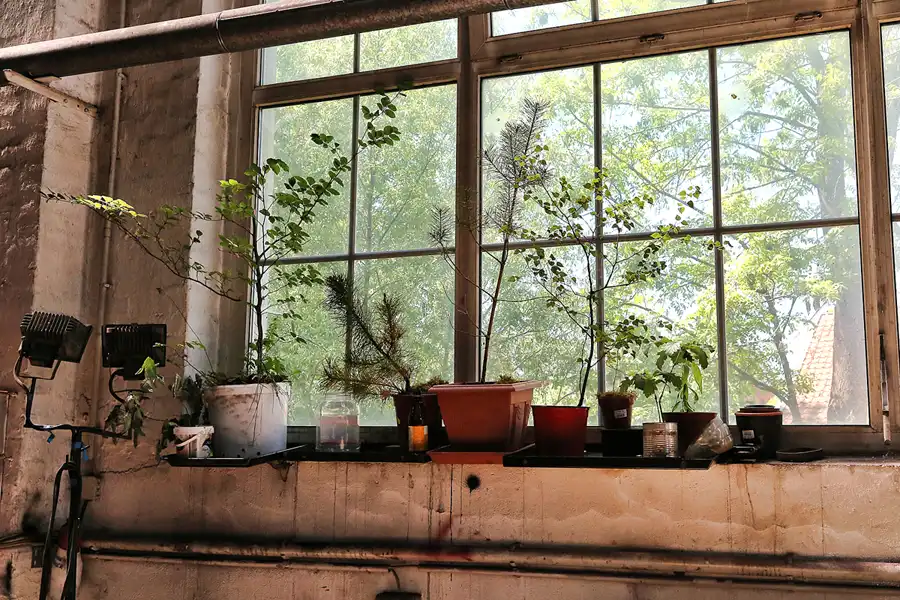 069 | 2017 | Wernigerode | Bahnbetriebswerk Wernigerode Westerntor – Harzer Schmalspurbahnen | © carsten riede fotografie