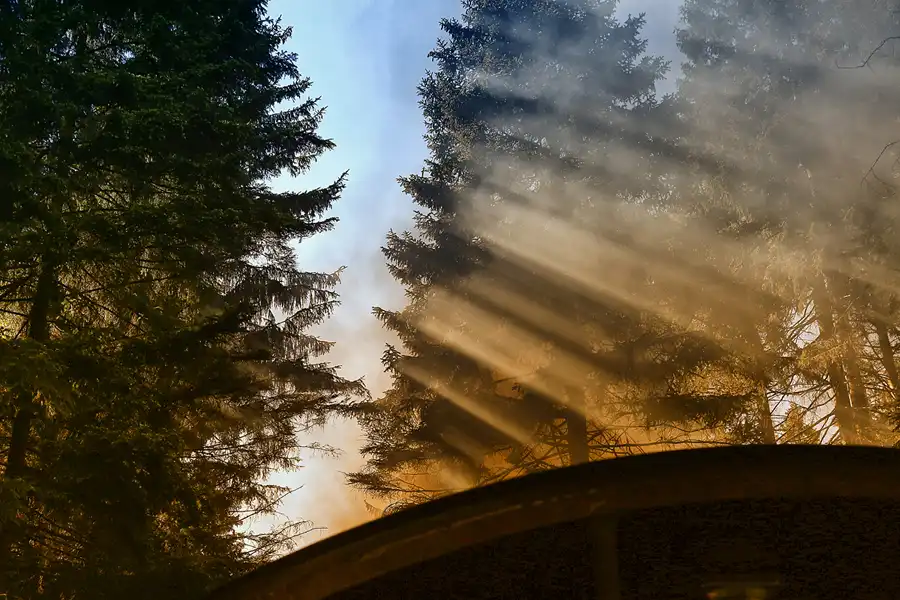 115 | 2017 | Harz | Brockenbahn | © carsten riede fotografie